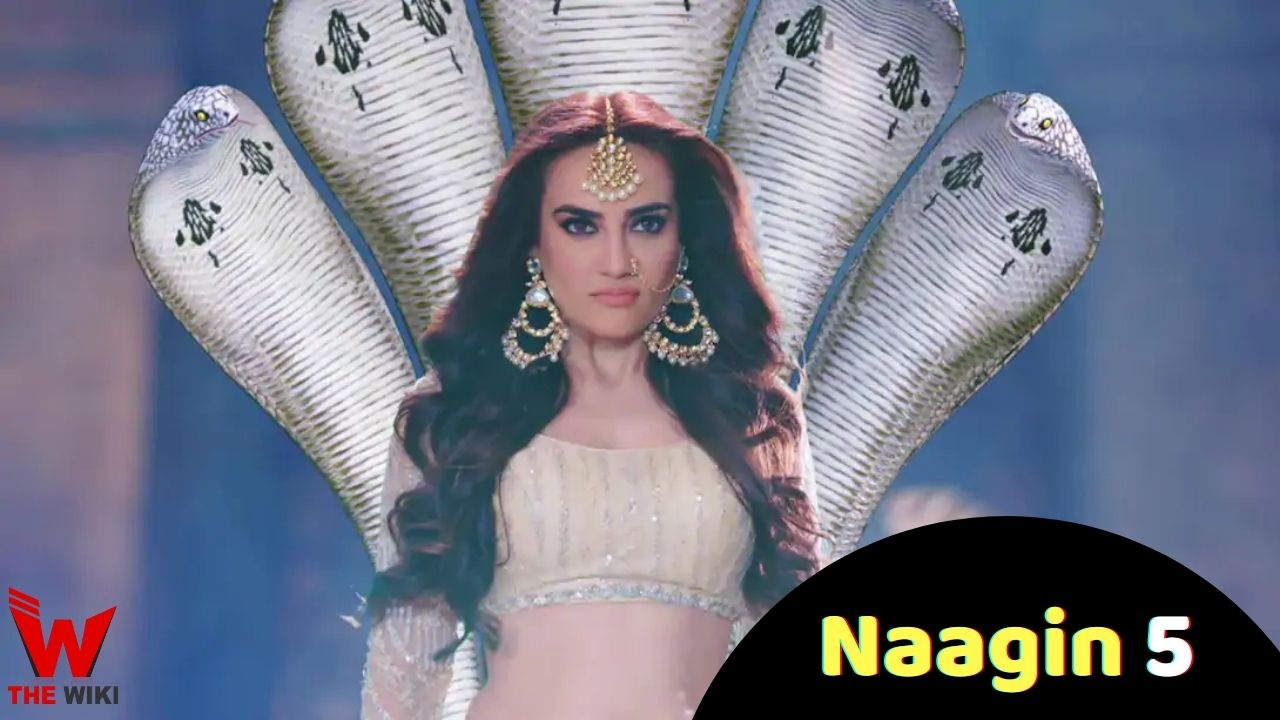 What Makes the Naagin Serial So Special in India?