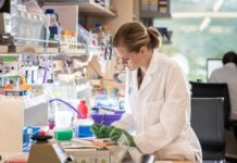 Exploring the Applications of Mesoscale ELISA in Biomarker Discovery LC-MS/MS method validation