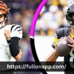 Pittsburgh Steelers Vs Bengals Match Player Stats